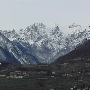Branchetto Bosco Chiesanuova